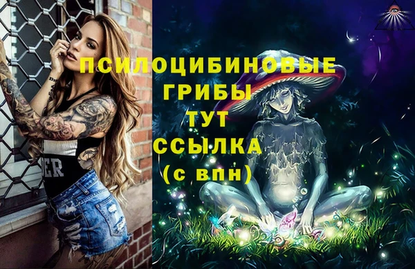 СК Переславль-Залесский