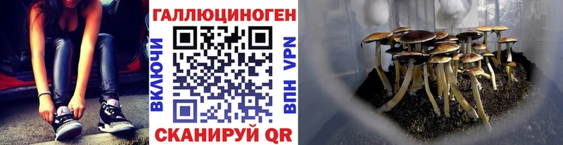 Галлюциногенные грибы Cubensis  Алупка 